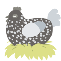 A grey and mist chicken with a speckle pattern