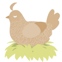 A beige chicken with a double-lace pattern