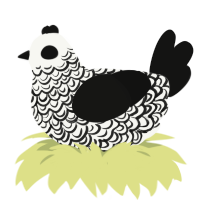 Revelation of Angels, a white and black chicken with a double-lace pattern
