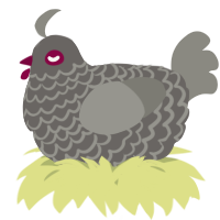 A grey and ash chicken with a lace pattern
