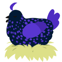 A tumblr and indigo chicken with a speckle pattern
