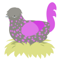 A ash and orchid chicken with a speckle pattern