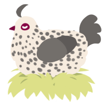 A cream and grey chicken with a speckle pattern