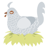 A mist chicken with a lace pattern