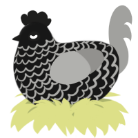 A black and ash chicken with a lace pattern