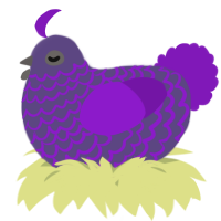 A overcast and violet chicken with a lace pattern