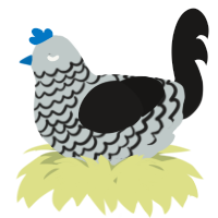 A silver and sable chicken with a lace pattern