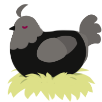 Burnie, a black and grey chicken with a head pattern