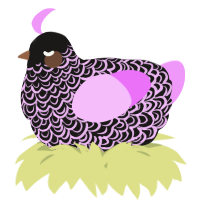 A sable and lavender chicken with a double-lace pattern