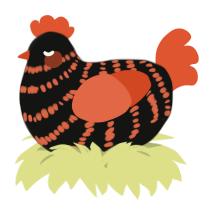 A black and vermilion chicken with a bar pattern