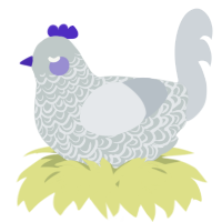 A silver and mist chicken with a double-lace pattern