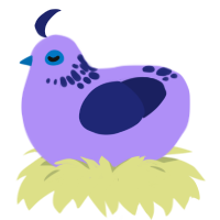 A lilac and navy chicken with a neck-speckle pattern