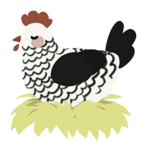A white and sable chicken with a lace pattern