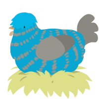 A cerulean and ash chicken with a bar pattern