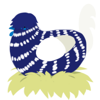 Antarctica, a navy and white chicken with a bar pattern