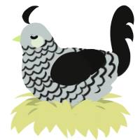 Manuscript, a silver and black chicken with a lace pattern