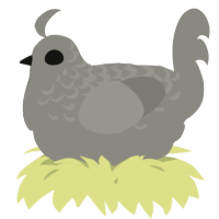 A ash chicken with a half-lace pattern