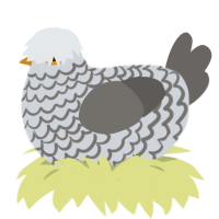 eyrie, a mist and grey chicken with a lace pattern
