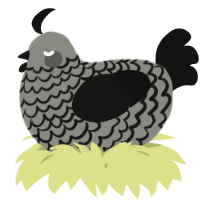 A ash and black chicken with a lace pattern