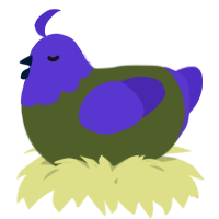 A olive and indigo chicken with a head pattern