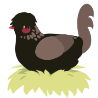 A sable and overcast chicken with a neck-speckle pattern