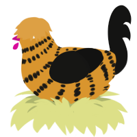 A orange and black chicken with a bar pattern
