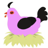 A lavender and sable chicken
