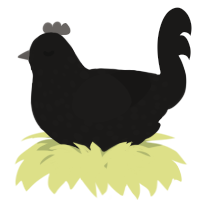 A sable chicken with a speckle pattern