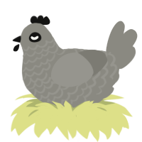 plagioclase, a ash chicken with a lace pattern