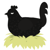 A black and sable chicken with a speckle pattern