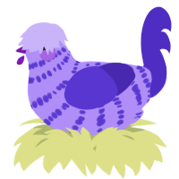 A lilac and indigo chicken with a bar pattern