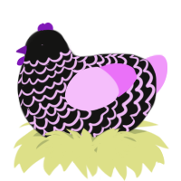 A black and lavender chicken with a lace pattern