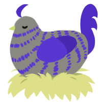 kaito, a ash and indigo chicken with a bar pattern