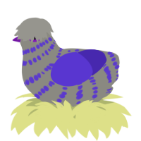 A ash and indigo chicken with a bar pattern