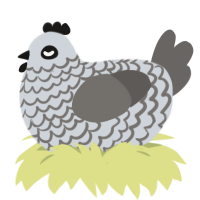 A mist and grey chicken with a lace pattern