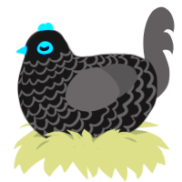Tabbie, a sable and grey chicken with a lace pattern