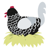 A sable and mist chicken with a lace pattern