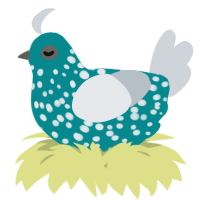 A teal and mist chicken with a speckle pattern
