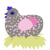 A ash and pink chicken with a speckle pattern