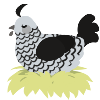 A mist and sable chicken with a lace pattern