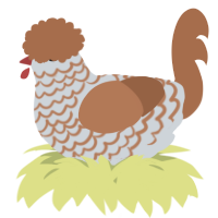 A mist and brown chicken with a lace pattern