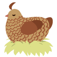 A red and maroon chicken with a lace pattern