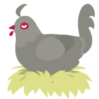 A ash chicken with a head pattern