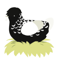 The Virus of Life, a black and white chicken with a half-lace pattern