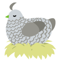 A mist and ash chicken with a lace pattern