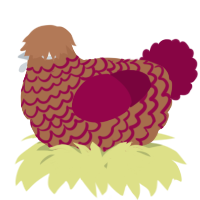 A brown and maroon chicken with a lace pattern