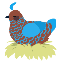 A russet and sky chicken with a lace pattern
