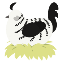 A white and sable chicken with a half-bar pattern