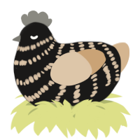 A sable and beige chicken with a bar pattern