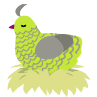 honeydew, a lime and ash chicken with a lace pattern